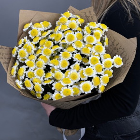 Букет "Моё солнышко" из 11 хризантем сантини  в Протвино