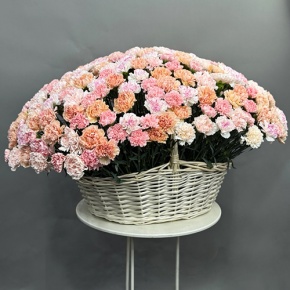 Композиция в корзине из 251 диантуса микс в Протвино