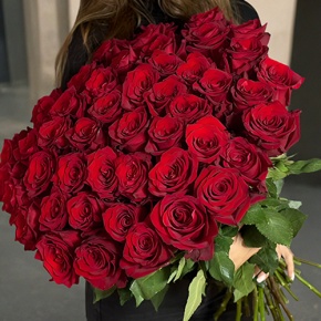 Букет 51 роза Эквадор Эксплорер (60 см) в Протвино