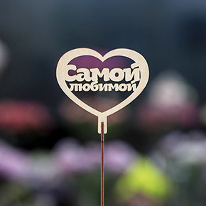 Топпер Самой Любимой в Протвино