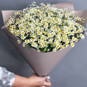 Букет из 17 ромашек танацетум в Протвино