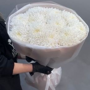 Букет из 11 белых хризантем  в Протвино