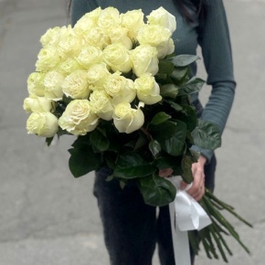 Монобукет из 25 роз Эквадор Мондиаль (80 см) в Протвино