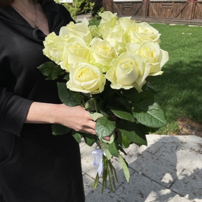 Букет из 11 белых роз (70 см) в Протвино