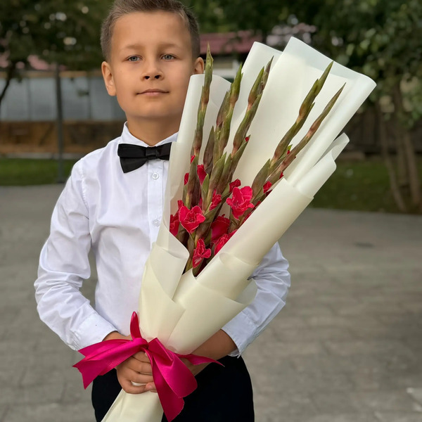 Букет на 1 сентября из 7 малиновых гладиолусов в Протвино