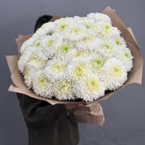 Букет из 27 хризантем Магнум в Протвино