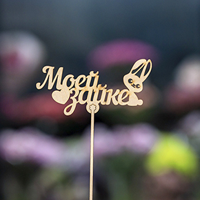 Топпер моей зайке в Протвино