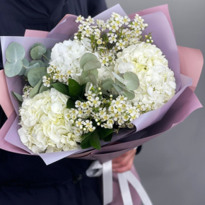 Букет "Суприм" из гортензий и хамелациума в Протвино
