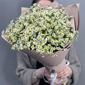 Букет из 17 полевых ромашек в Протвино