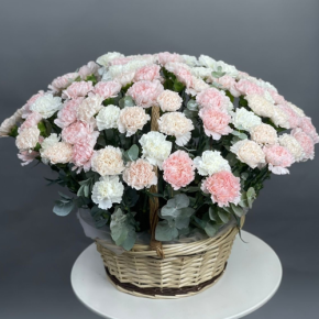 Композиция в корзине из 101 диантуса микс в Протвино