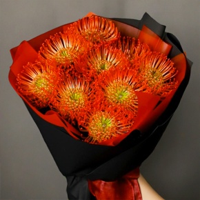 Букет из 9 лейко в Протвино