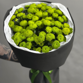 Стильный букет "Лайм" из 15 хризантем сантини в Протвино