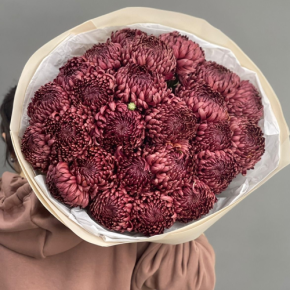 Букет 21 шоколадной хризантемы Бигоуди в Протвино