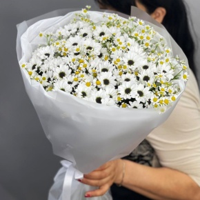 Букет "Понарошку" из хризантем сантини и ромашек в Протвино