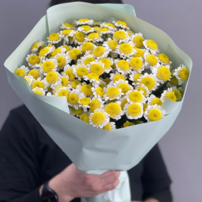 Букет "Моё солнышко" из 17 хризантем сантини  в Протвино