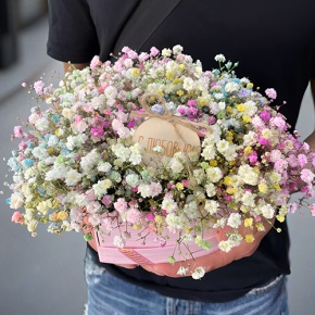 Композиция в коробке сердца из радужных гипсофил с топпером в Протвино