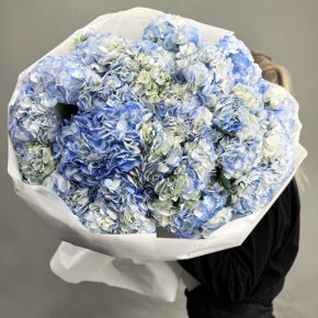 Букет из 23 синих гортензий в Протвино