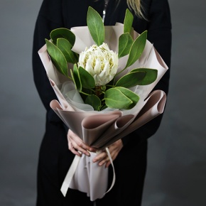 Букет "Великолепная" из экзотичной протеи в Протвино