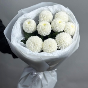 Букет из 9 белых хризантем Момоко в Протвино