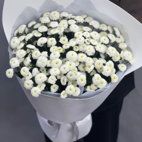 Букет "Белая дымка" из 25 хризантем сантини в Протвино