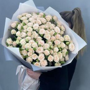 Букет из 25 кремовых кустовых роз (70 см) в Протвино