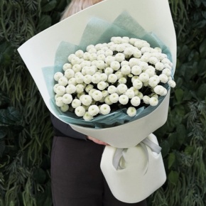 Букет из 25 хризантем Ньютон в Протвино