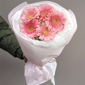 Букет из 5 розовых гербер мини в Протвино