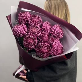Букет "Изобилие" из 11 винных хризантем Бигоуди в Протвино