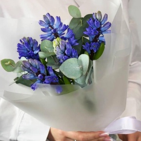 Букет "Мини" из 5 ароматных гиацинтов и эвкалипта в Протвино