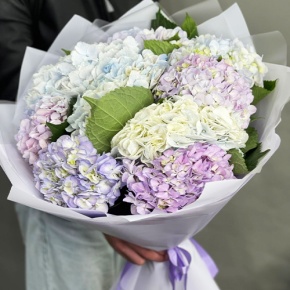 Букет из 9 Голландских гортензий микс в Протвино