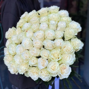 Букет из 51 розы Эквадор Мондиаль под ленту (80 см) в Протвино