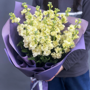 Букет из 15 лимонных маттиол в Протвино