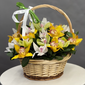 Композиция в корзине из 25 орхидей микс в Протвино