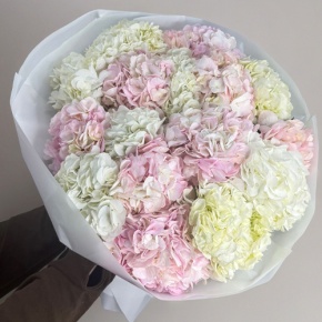 Букет из 17 нежных гортензий в Протвино