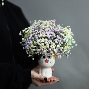 Композиция из гипсофил в керамическом кашпо в Протвино