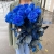 15 синих LUX роз Эквадор (70 см) в Протвино