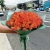 Букет из 51 мандариновой розы (40 см) в Протвино