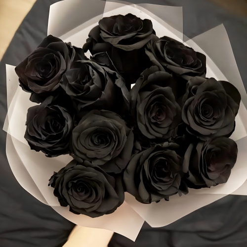 Букет "Черная королева" из 11 черных роз Эквадор (60 см) в Протвино