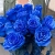 15 синих LUX роз Эквадор (70 см) в Протвино