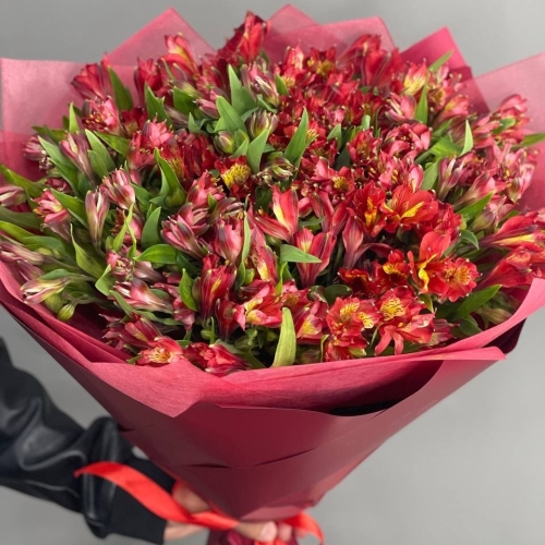 Монобукет из 25 красных альстромерий в Протвино
