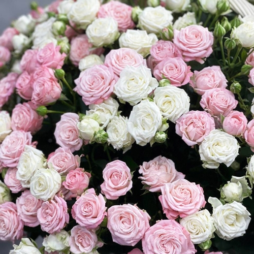 Композиция в корзине из 101 кустовой пионовидной розы в Протвино