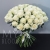 Букет 75 белых роз Эквадор Мондиаль (80 см) в Протвино