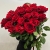Монобукет из 21 розы Эквадор Эксплорер (60 см) в Протвино Монобукет из 21 розы Эквадор Эксплорер (60 см) в Протвино