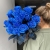 15 синих LUX роз Эквадор (70 см) в Протвино
