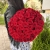 Букет 51 красной розы 50 см в Протвино Букет 51 красной розы 50 см в Протвино