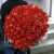 Букет 101 коралловая роза (60 см) в Протвино