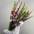 Букет из 25 гладиолусов микс в Протвино