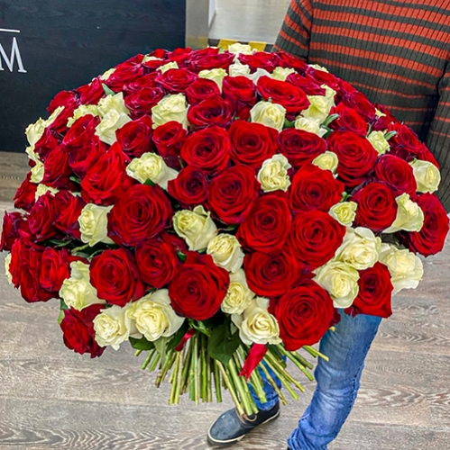 Букет 151 роза красный и белый микс (60 см) в Протвино