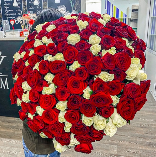 Букет 151 роза красный и белый микс (60 см) в Протвино
