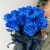 15 синих LUX роз Эквадор (70 см) в Протвино